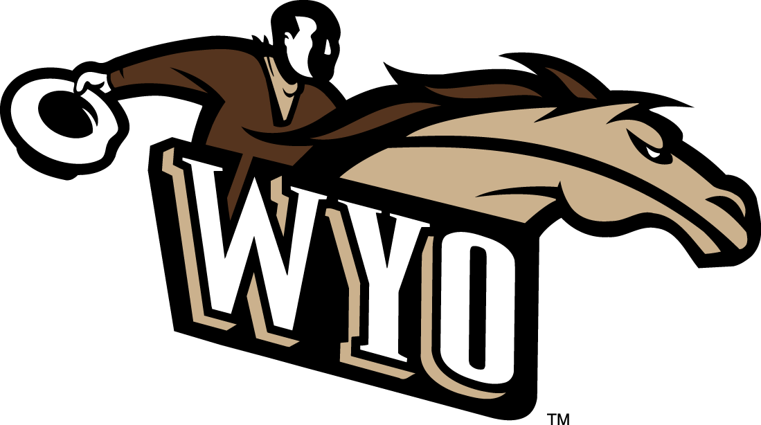 Wyoming Cowboys 1997-2006 Alternate Logo v2 iron on transfers for T-shirts